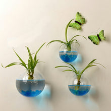 Load image into Gallery viewer, Hanging Glass Flower Vase - thedecoratives.com
