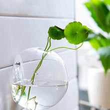 Load image into Gallery viewer, Hanging Glass Flower Vase - thedecoratives.com
