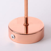 Load image into Gallery viewer, Natural Ostrich Feather Lamp - thedecoratives.com
