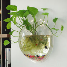 Load image into Gallery viewer, Hanging Glass Flower Vase - thedecoratives.com

