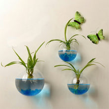 Load image into Gallery viewer, Hanging Glass Flower Vase - thedecoratives.com
