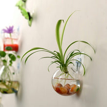 Load image into Gallery viewer, Hanging Glass Flower Vase - thedecoratives.com

