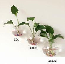 Load image into Gallery viewer, Hanging Glass Flower Vase - thedecoratives.com
