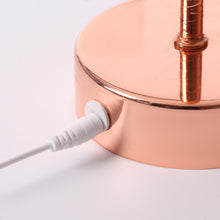 Load image into Gallery viewer, Natural Ostrich Feather Lamp - thedecoratives.com
